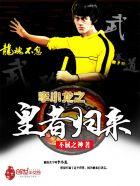 李小龙传奇李小龙对战黄皮小子